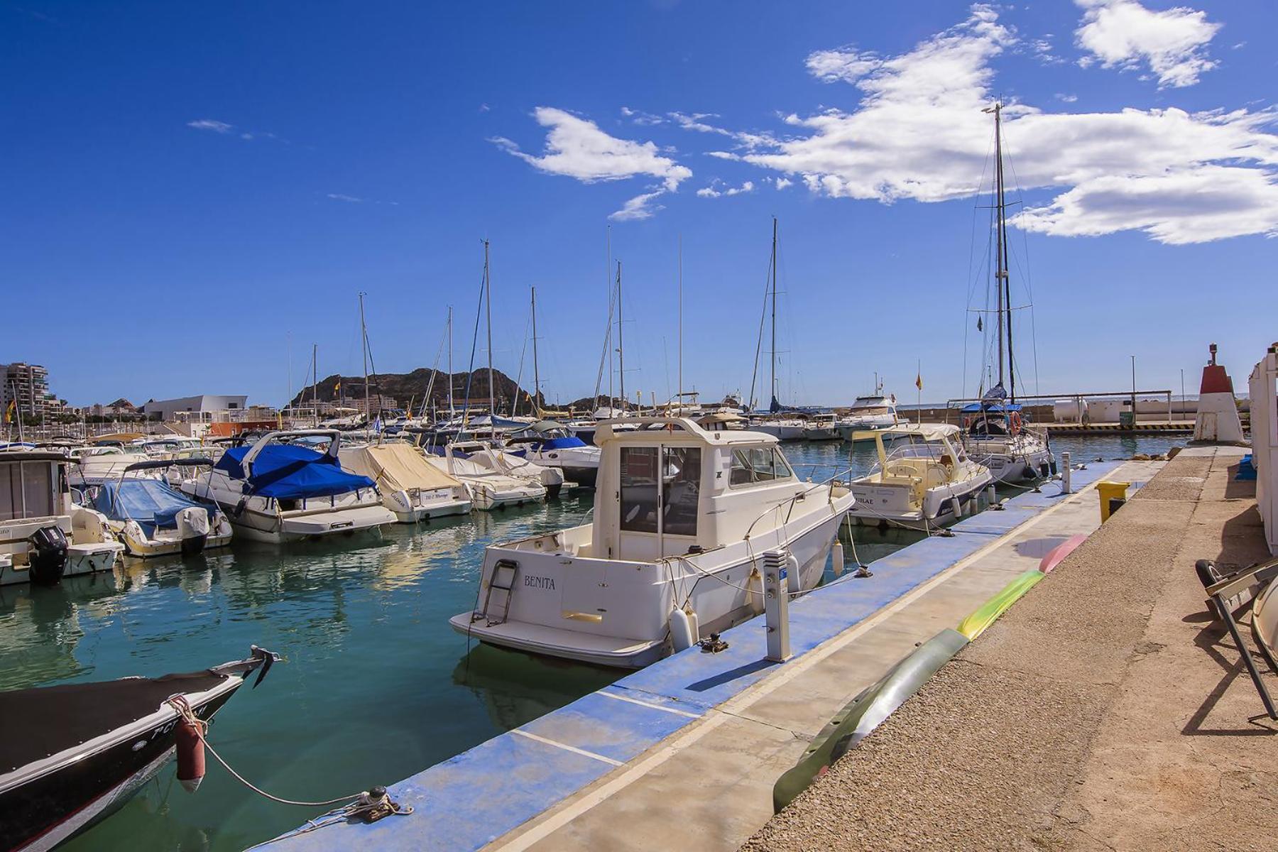 Aguilas Delicias Piscina Wifi Ac Parking Gratis ภายนอก รูปภาพ