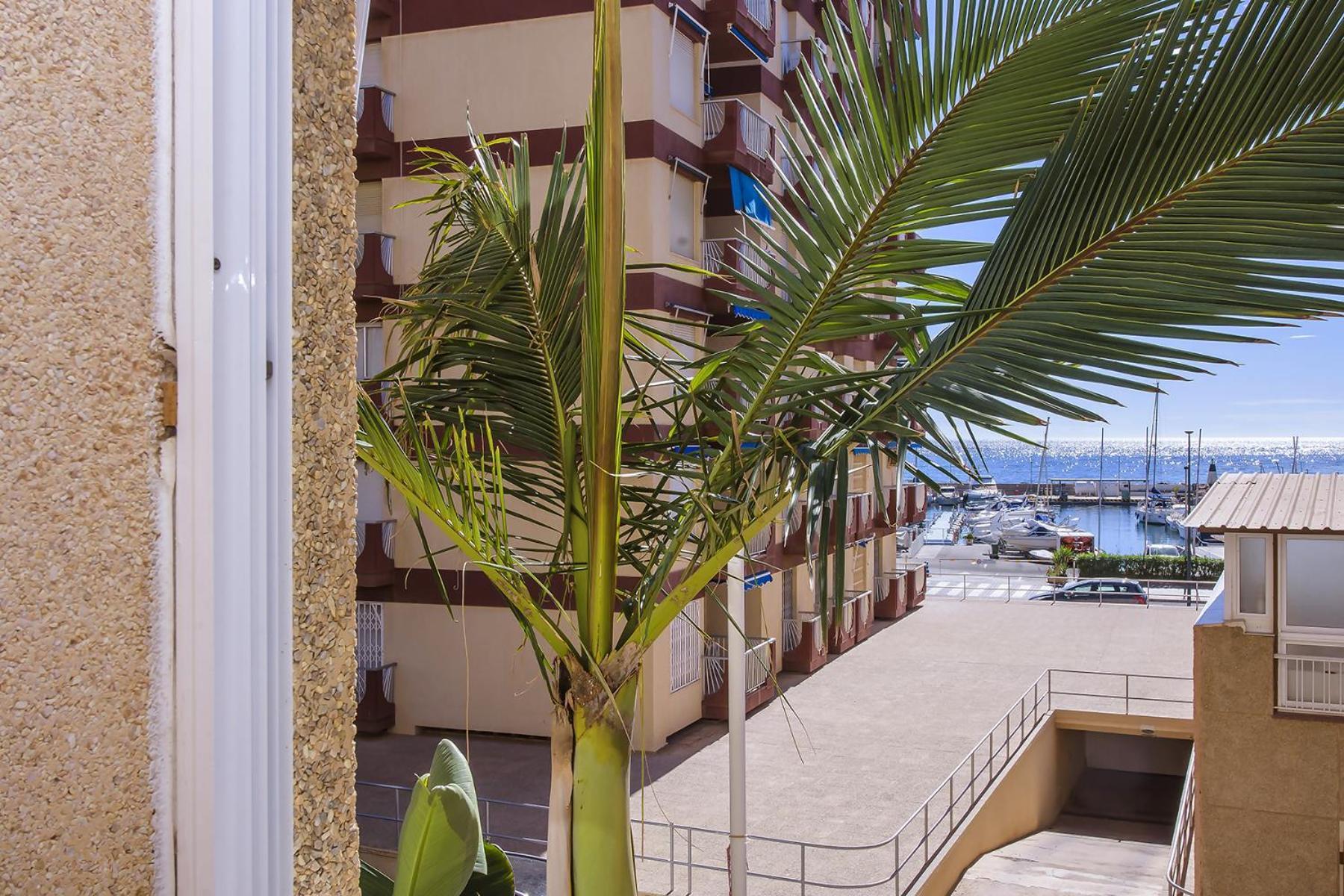 Aguilas Delicias Piscina Wifi Ac Parking Gratis ภายนอก รูปภาพ